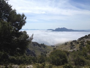 Rennrad Trainingslager Mallorca