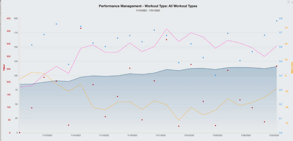 Performance Management Chart