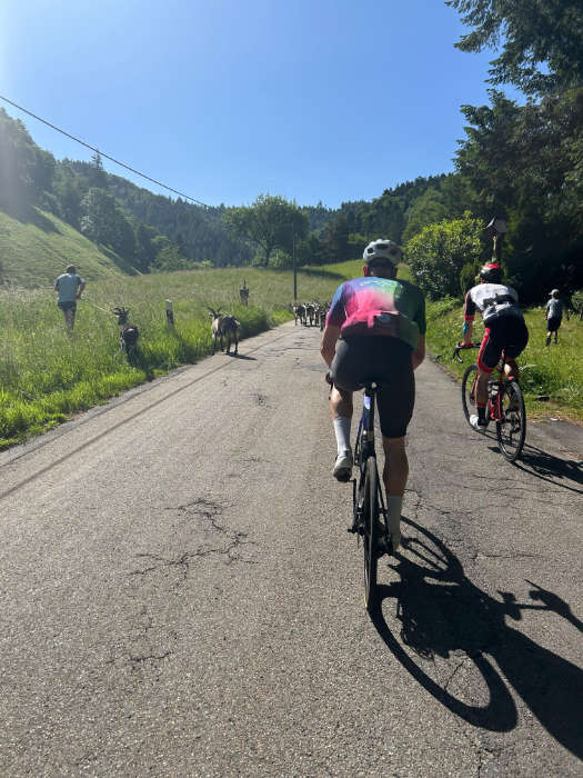 Mittelheubronn mit dem Rennrad