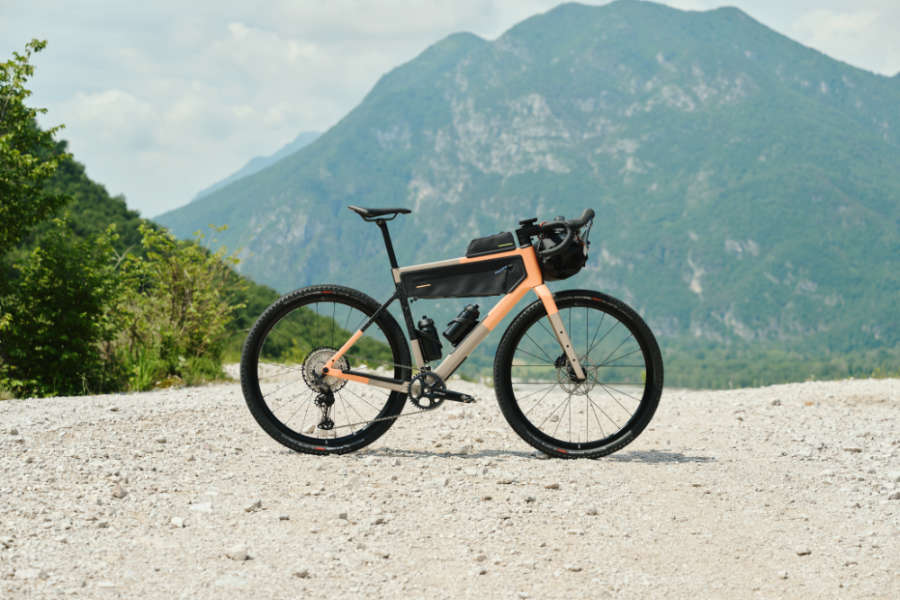 Rose Backroad Unsupported (2025)